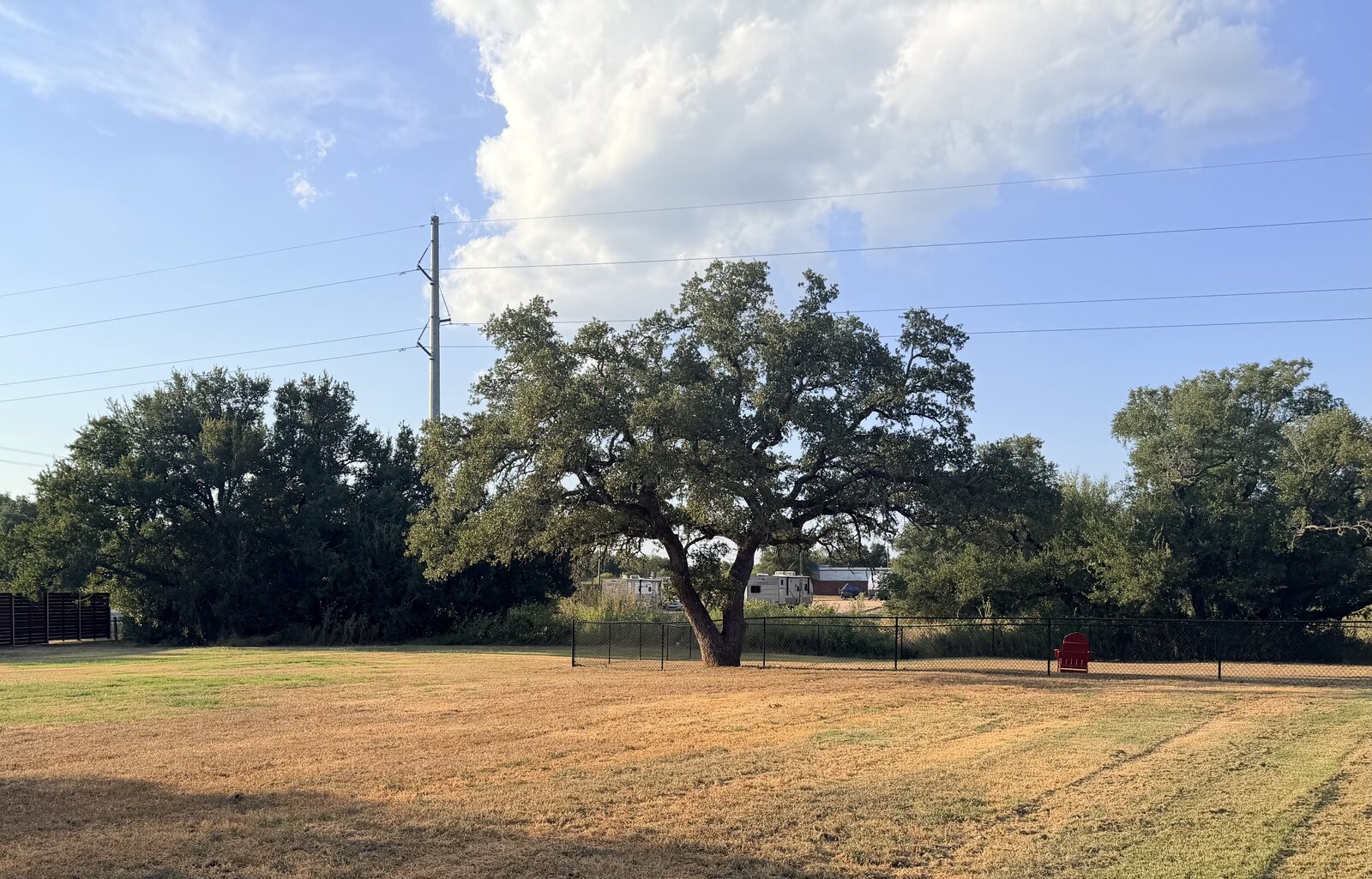 The fenced dog park at Seven Lakes RV Resort with a large oak tree